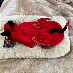 Fiery Red Pet Dragon Costume with Wings